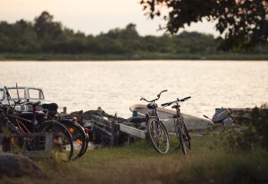 Rower elektryczny – czy warto zainwestować?