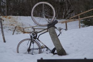 12 typów rowerzystów, którzy najczęściej giną na drogach